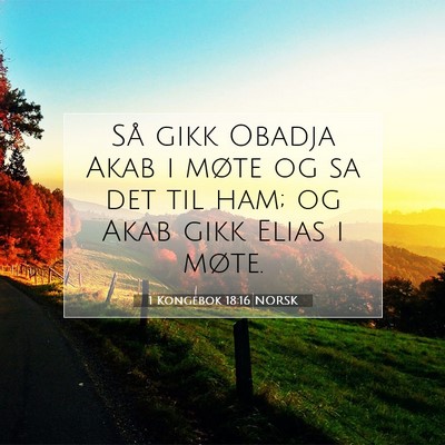 Picture 07 - 1 Kongebok 18:16 NORSK - Så gikk Obadja Akab i møte og sa det til ham; - Bible Verse Picture