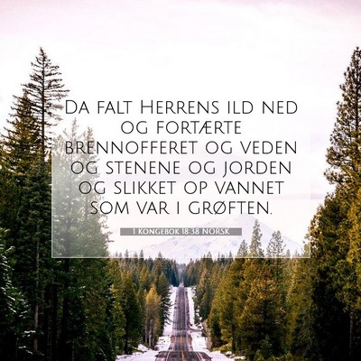 Picture 07 - 1 Kongebok 18:38 NORSK - Da falt Herrens ild ned og fortærte brennofferet - Bible Verse Picture