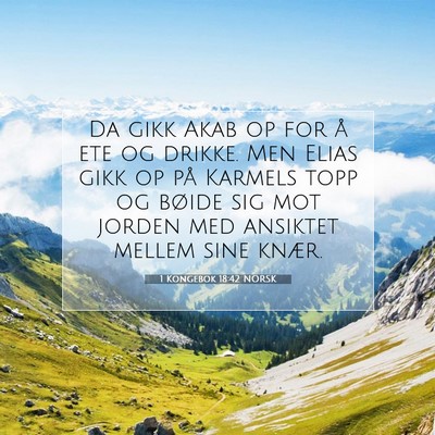 Picture 07 - 1 Kongebok 18:42 NORSK - Da gikk Akab op for å ete og drikke. Men Elias - Bible Verse Picture