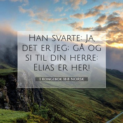 Picture 07 - 1 Kongebok 18:8 NORSK - Han svarte: Ja, det er jeg; gå og si til din - Bible Verse Picture