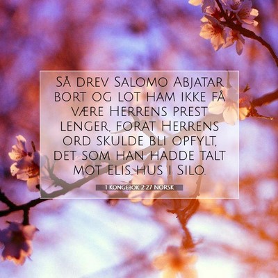 Picture 07 - 1 Kongebok 2:27 NORSK - Så drev Salomo Abjatar bort og lot ham ikke få - Bible Verse Picture