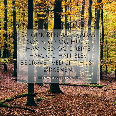 Picture 07 - 1 Kongebok 2:34 NORSK - Så gikk Benaja, Jojadas sønn, op og hugg ham - Bible Verse Picture