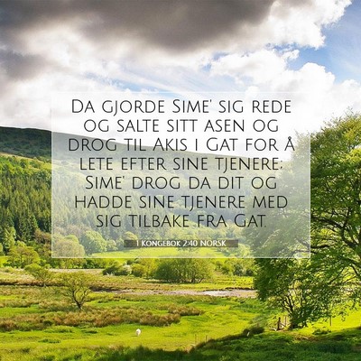 Picture 07 - 1 Kongebok 2:40 NORSK - Da gjorde Sime' sig rede og salte sitt asen og - Bible Verse Picture