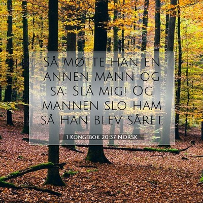 Picture 07 - 1 Kongebok 20:37 NORSK - Så møtte han en annen mann og sa: Slå mig! Og - Bible Verse Picture