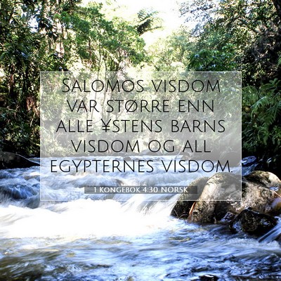 Picture 07 - 1 Kongebok 4:30 NORSK - Salomos visdom var større enn alle ¥stens barns - Bible Verse Picture
