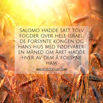 Picture 07 - 1 Kongebok 4:7 NORSK - Salomo hadde satt tolv fogder over hele Israel; - Bible Verse Picture