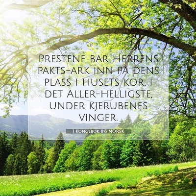 Picture 07 - 1 Kongebok 8:6 NORSK - Prestene bar Herrens pakts-ark inn på dens plass - Bible Verse Picture