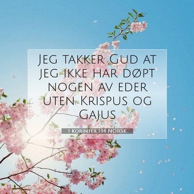 Picture 07 - 1 Korinter 1:14 NORSK - Jeg takker Gud at jeg ikke har døpt nogen av - Bible Verse Picture