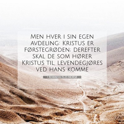 Picture 07 - 1 Korinter 15:23 NORSK - Men hver i sin egen avdeling: Kristus er - Bible Verse Picture