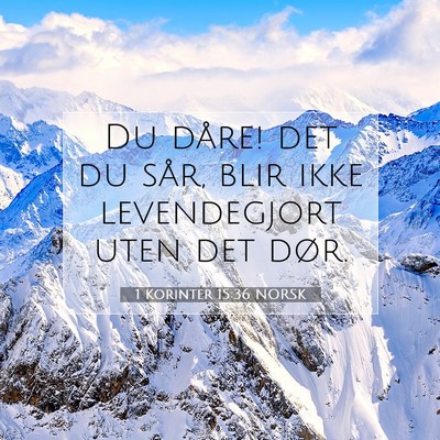 Picture 07 - 1 Korinter 15:36 NORSK - Du dåre! det du sår, blir ikke levendegjort - Bible Verse Picture