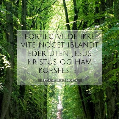 Picture 07 - 1 Korinter 2:2 NORSK - for jeg vilde ikke vite noget iblandt eder uten - Bible Verse Picture