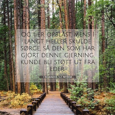 Picture 07 - 1 Korinter 5:2 NORSK - Og I er opblåst, mens I langt heller skulde - Bible Verse Picture