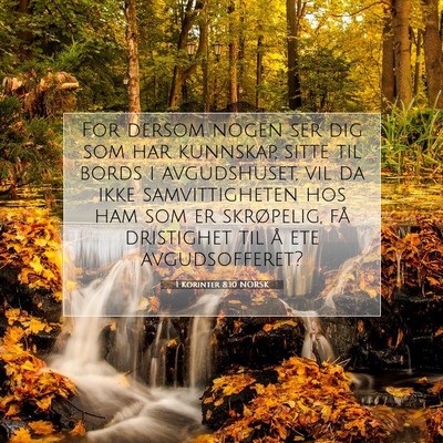 Picture 07 - 1 Korinter 8:10 NORSK - For dersom nogen ser dig som har kunnskap, sitte - Bible Verse Picture