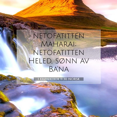 Picture 07 - 1 Krønikebok 11:30 NORSK - netofatitten Maharai; netofatitten Heled, sønn - Bible Verse Picture
