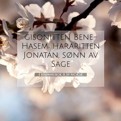 Picture 07 - 1 Krønikebok 11:34 NORSK - gisonitten Bene-Hasem; hararitten Jonatan, sønn - Bible Verse Picture