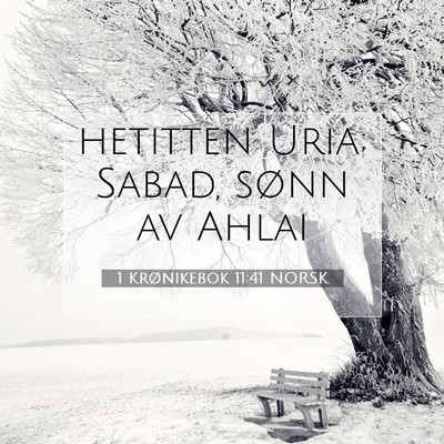 Picture 07 - 1 Krønikebok 11:41 NORSK - hetitten Uria; Sabad, sønn av - Bible Verse Picture