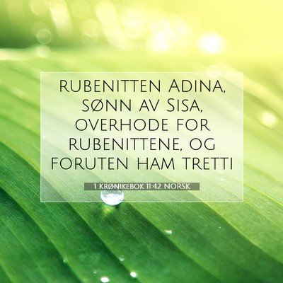 Picture 07 - 1 Krønikebok 11:42 NORSK - rubenitten Adina, sønn av Sisa, overhode for - Bible Verse Picture
