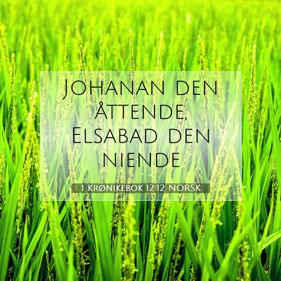 Picture 07 - 1 Krønikebok 12:12 NORSK - Johanan den åttende, Elsabad den - Bible Verse Picture