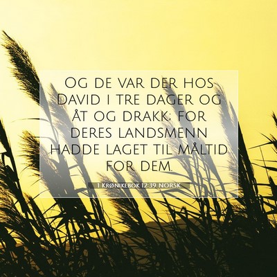 Picture 07 - 1 Krønikebok 12:39 NORSK - Og de var der hos David i tre dager og åt og - Bible Verse Picture