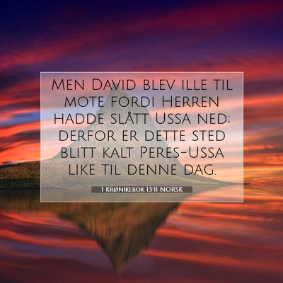 Picture 07 - 1 Krønikebok 13:11 NORSK - Men David blev ille til mote fordi Herren hadde - Bible Verse Picture