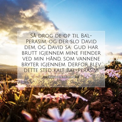 Picture 07 - 1 Krønikebok 14:11 NORSK - Så drog de op til Ba'l-Perasim, og der slo David - Bible Verse Picture