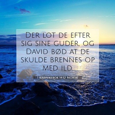 Picture 07 - 1 Krønikebok 14:12 NORSK - Der lot de efter sig sine guder, og David bød at - Bible Verse Picture