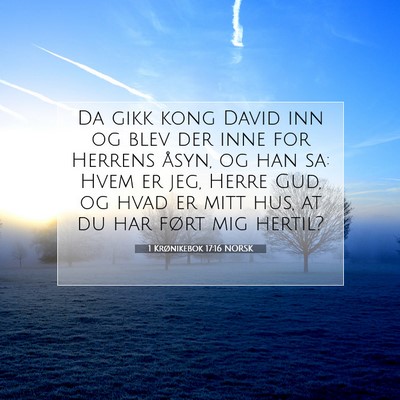 Picture 07 - 1 Krønikebok 17:16 NORSK - Da gikk kong David inn og blev der inne for - Bible Verse Picture