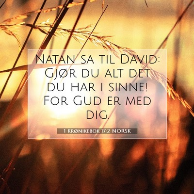 Picture 07 - 1 Krønikebok 17:2 NORSK - Natan sa til David: Gjør du alt det du har i - Bible Verse Picture
