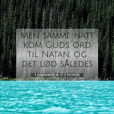 Picture 07 - 1 Krønikebok 17:3 NORSK - Men samme natt kom Guds ord til Natan, og det - Bible Verse Picture