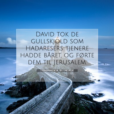 Picture 07 - 1 Krønikebok 18:7 NORSK - David tok de gullskjold som Hadaresers tjenere - Bible Verse Picture