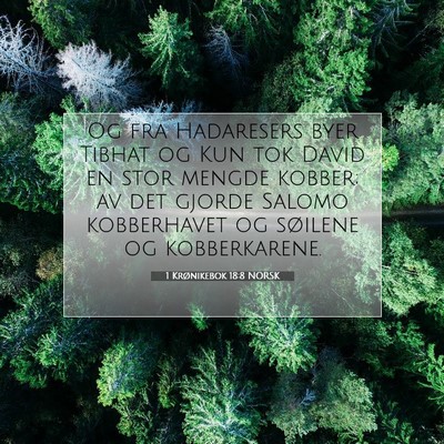 Picture 07 - 1 Krønikebok 18:8 NORSK - Og fra Hadaresers byer Tibhat og Kun tok David en - Bible Verse Picture