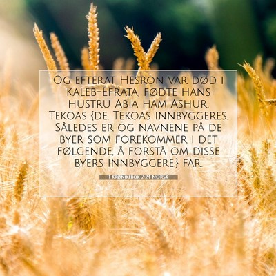 Picture 07 - 1 Krønikebok 2:24 NORSK - Og efterat Hesron var død i Kaleb-Efrata, fødte - Bible Verse Picture