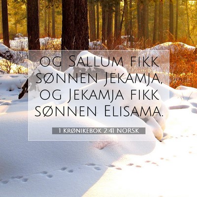 Picture 07 - 1 Krønikebok 2:41 NORSK - og Sallum fikk sønnen Jekamja, og Jekamja fikk - Bible Verse Picture