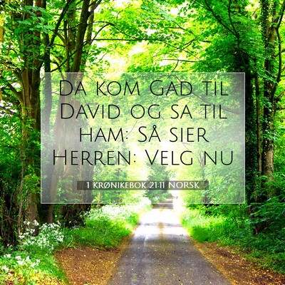 Picture 07 - 1 Krønikebok 21:11 NORSK - Da kom Gad til David og sa til ham: Så sier - Bible Verse Picture