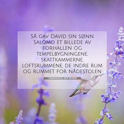 Picture 07 - 1 Krønikebok 28:11 NORSK - Så gav David sin sønn Salomo et billede av - Bible Verse Picture