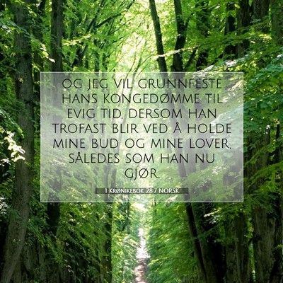 Picture 07 - 1 Krønikebok 28:7 NORSK - og jeg vil grunnfeste hans kongedømme til evig - Bible Verse Picture