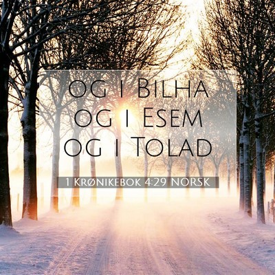Picture 07 - 1 Krønikebok 4:29 NORSK - og i Bilha og i Esem og i - Bible Verse Picture