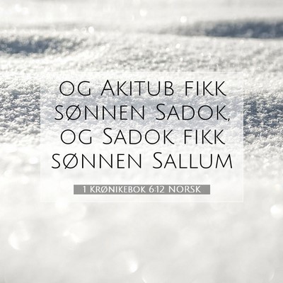 Picture 07 - 1 Krønikebok 6:12 NORSK - og Akitub fikk sønnen Sadok, og Sadok fikk - Bible Verse Picture
