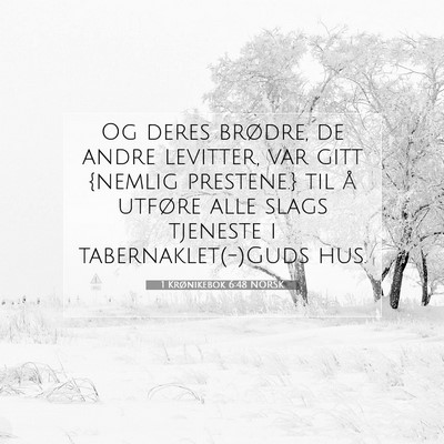 Picture 07 - 1 Krønikebok 6:48 NORSK - Og deres brødre, de andre levitter, var gitt - Bible Verse Picture