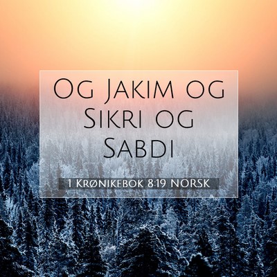 Picture 07 - 1 Krønikebok 8:19 NORSK - Og Jakim og Sikri og - Bible Verse Picture
