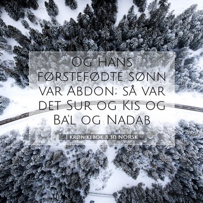 Picture 07 - 1 Krønikebok 8:30 NORSK - Og hans førstefødte sønn var Abdon; så var - Bible Verse Picture
