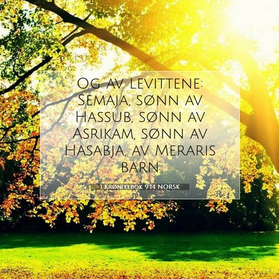 Picture 07 - 1 Krønikebok 9:14 NORSK - Og av levittene: Semaja, sønn av Hassub, sønn - Bible Verse Picture