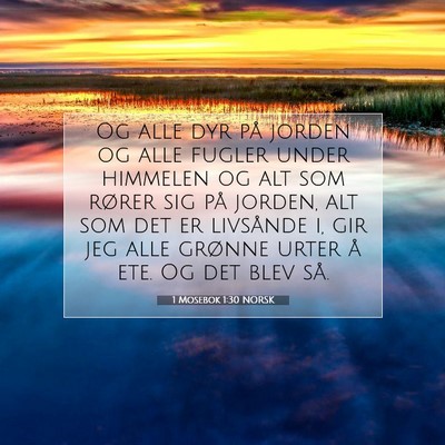 Picture 07 - 1 Mosebok 1:30 NORSK - Og alle dyr på jorden og alle fugler under - Bible Verse Picture