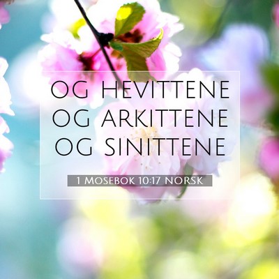 Picture 07 - 1 Mosebok 10:17 NORSK - og hevittene og arkittene og - Bible Verse Picture