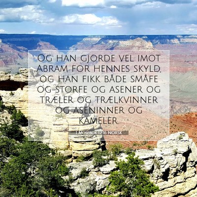 Picture 07 - 1 Mosebok 12:16 NORSK - Og han gjorde vel imot Abram for hennes skyld, og - Bible Verse Picture