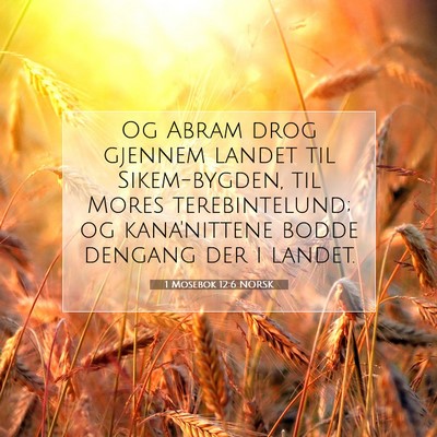 Picture 07 - 1 Mosebok 12:6 NORSK - Og Abram drog gjennem landet til Sikem-bygden, - Bible Verse Picture
