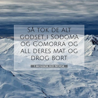 Picture 07 - 1 Mosebok 14:11 NORSK - Så tok de alt godset i Sodoma og Gomorra og all - Bible Verse Picture
