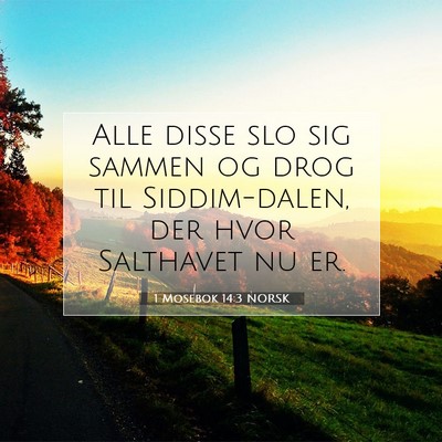 Picture 07 - 1 Mosebok 14:3 NORSK - Alle disse slo sig sammen og drog til - Bible Verse Picture