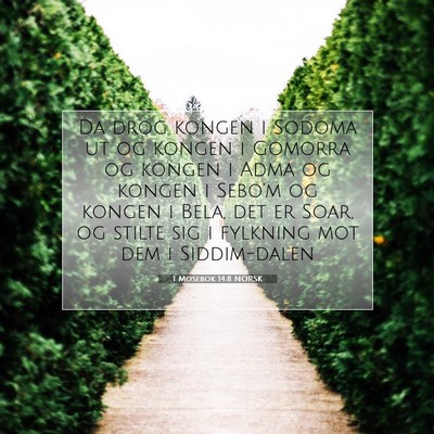 Picture 07 - 1 Mosebok 14:8 NORSK - Da drog kongen i Sodoma ut og kongen i Gomorra og - Bible Verse Picture