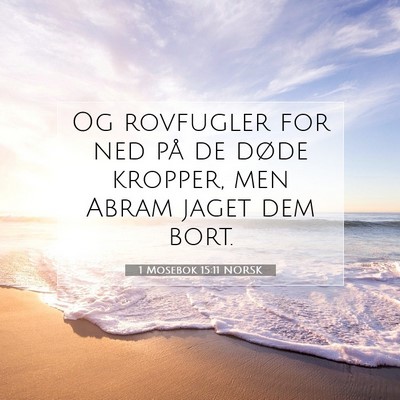 Picture 07 - 1 Mosebok 15:11 NORSK - Og rovfugler for ned på de døde kropper, men - Bible Verse Picture